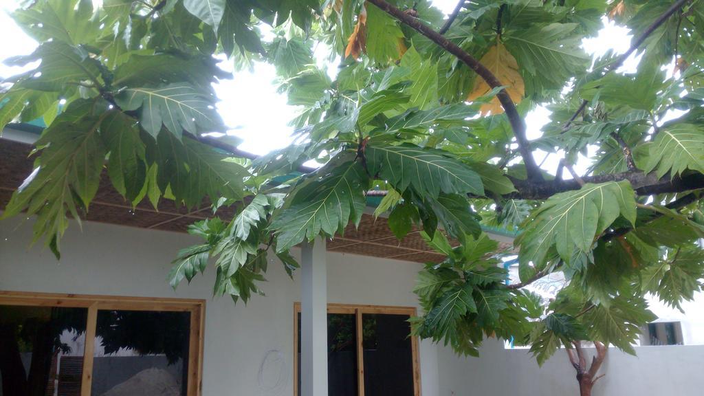 Hotel Crystal Dhiffushi Exterior foto