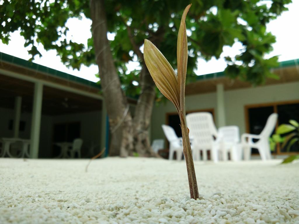 Hotel Crystal Dhiffushi Exterior foto